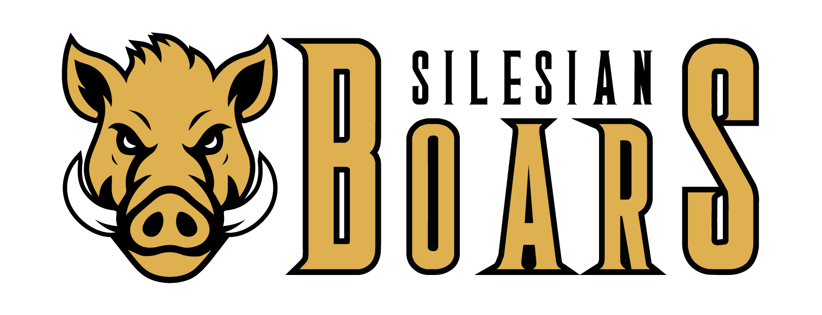 Silesian Boars Disc Golf Club